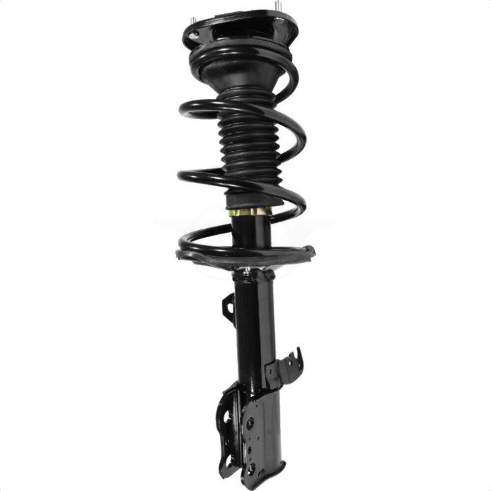 Suspension Strut Coil Spring Assembly