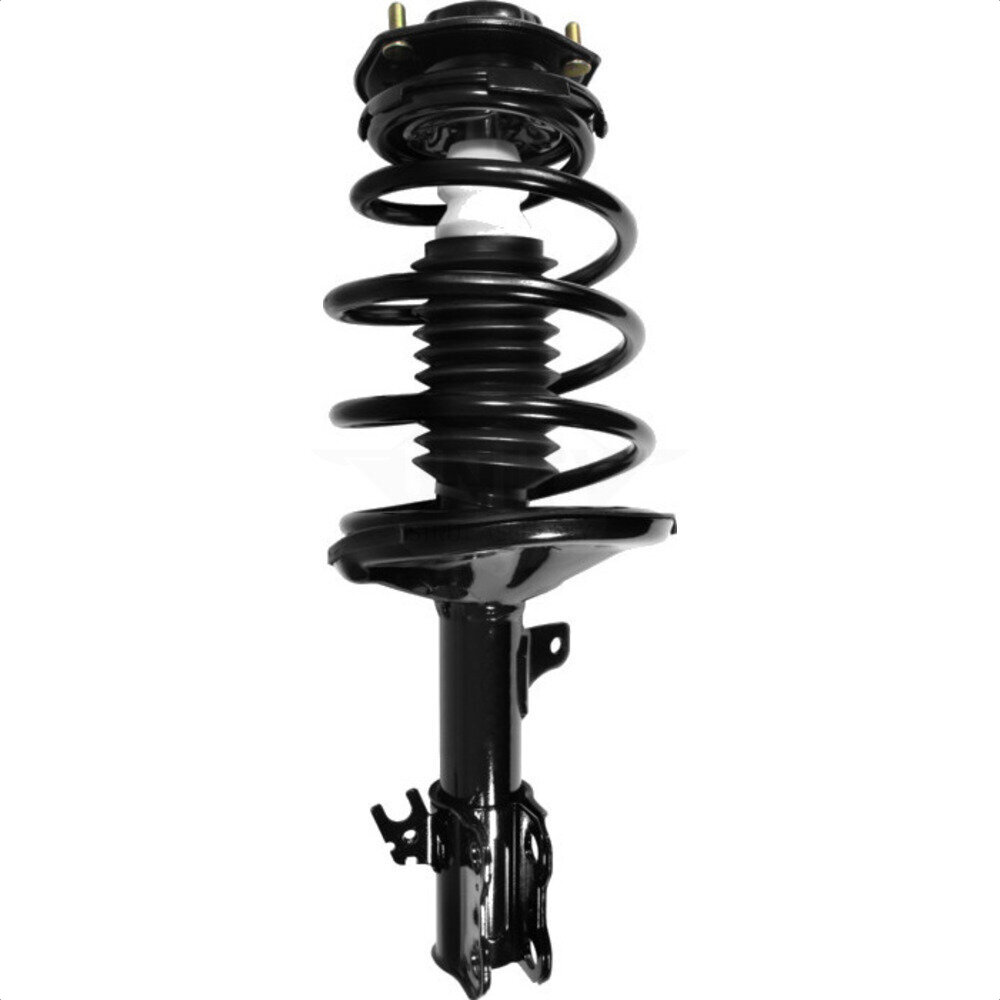 Suspension Strut Coil Spring Assembly