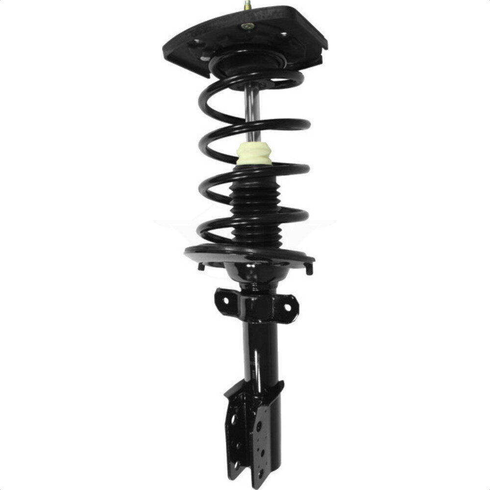 Suspension Strut Coil Spring Assembly