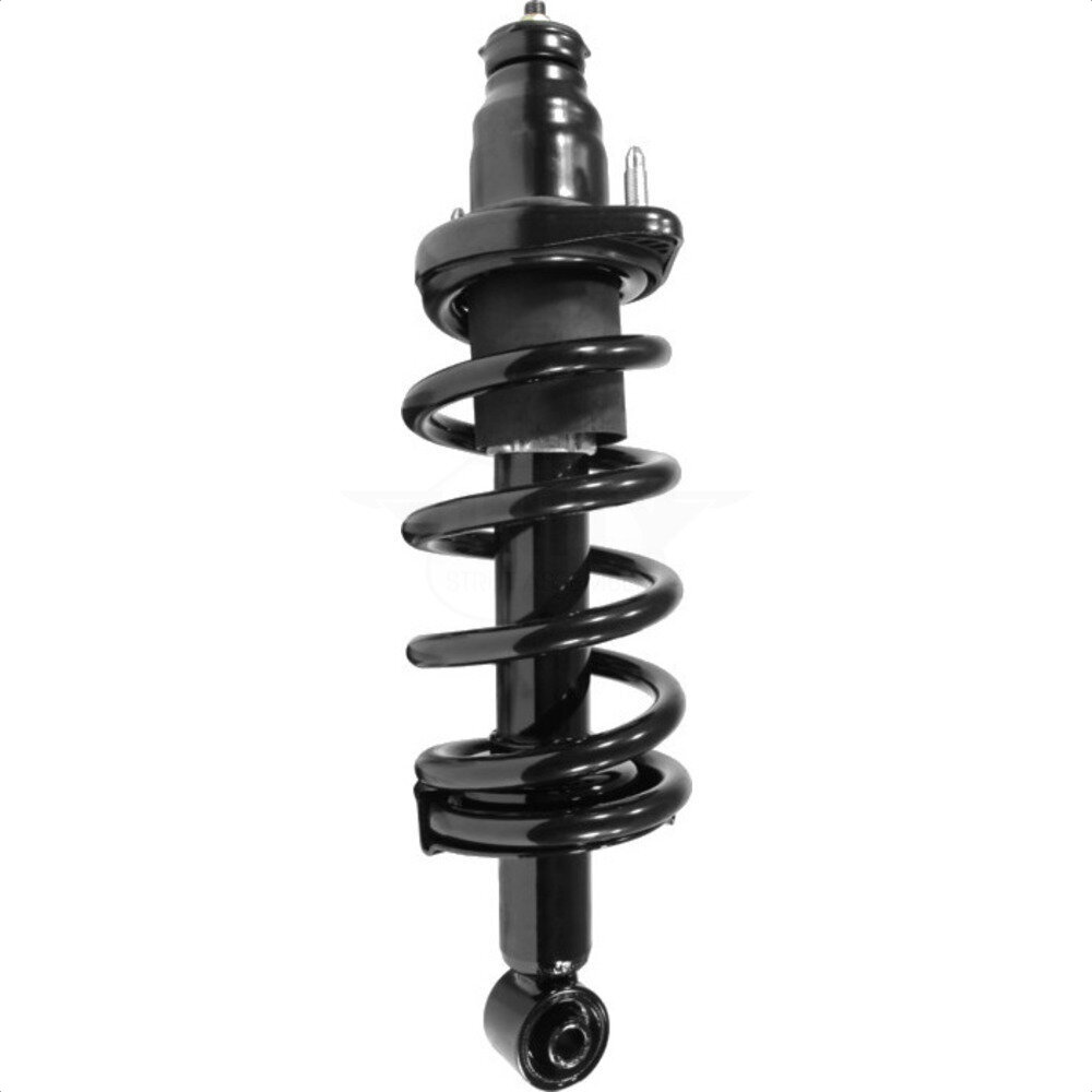 Suspension Strut Coil Spring Assembly