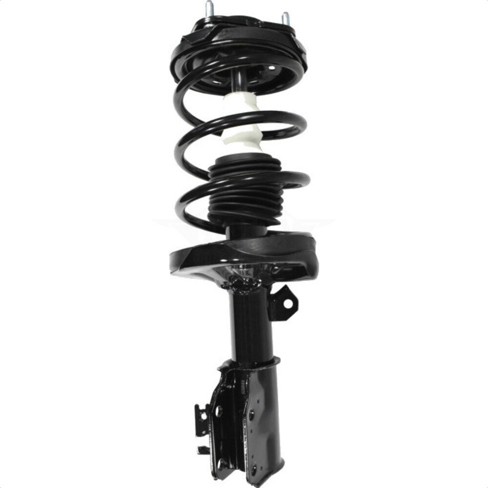 Suspension Strut Coil Spring Assembly