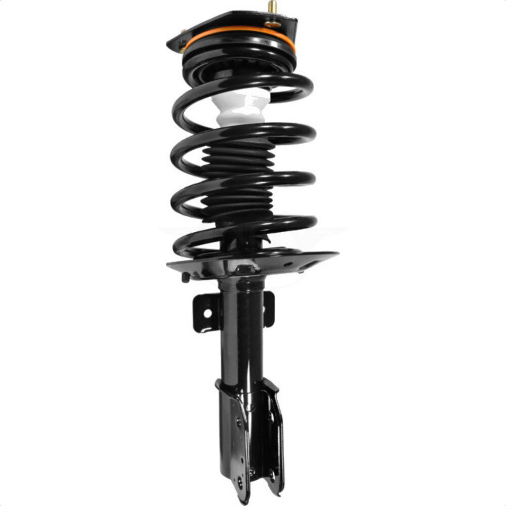 Suspension Strut Coil Spring Assembly