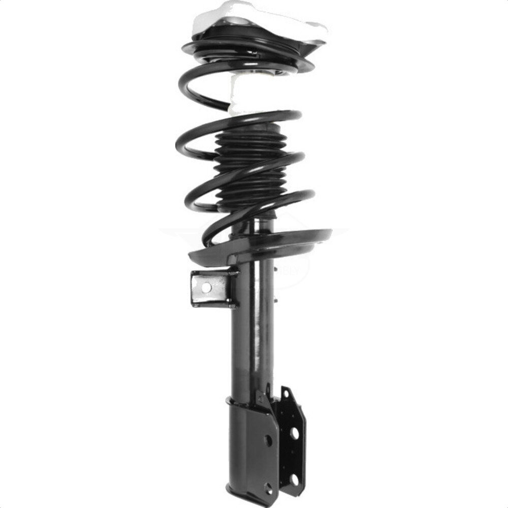 Suspension Strut Coil Spring Assembly