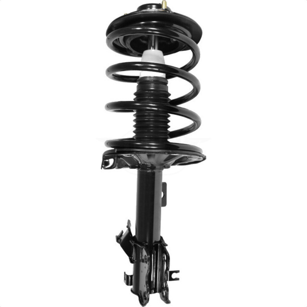 Suspension Strut Coil Spring Assembly