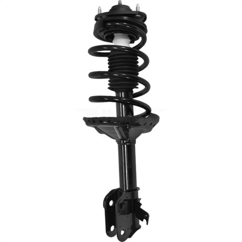 Suspension Strut Coil Spring Assembly