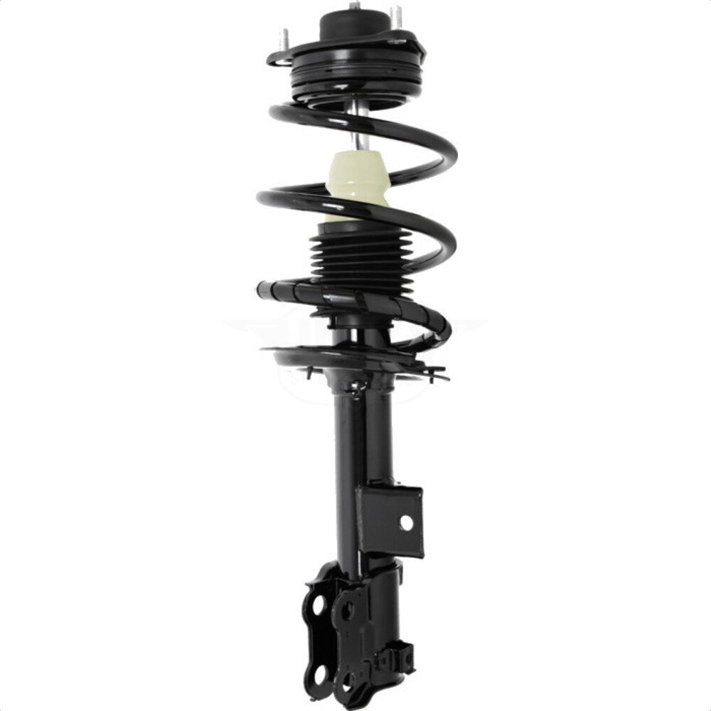 Suspension Strut Coil Spring Assembly