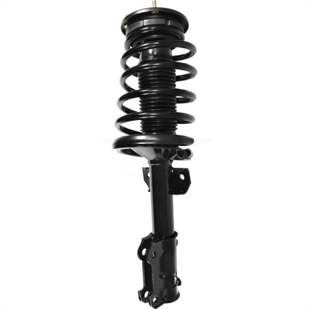 Suspension Strut Coil Spring Assembly