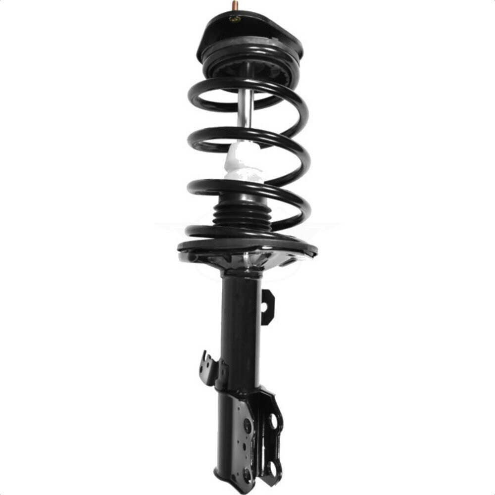 Suspension Strut Coil Spring Assembly