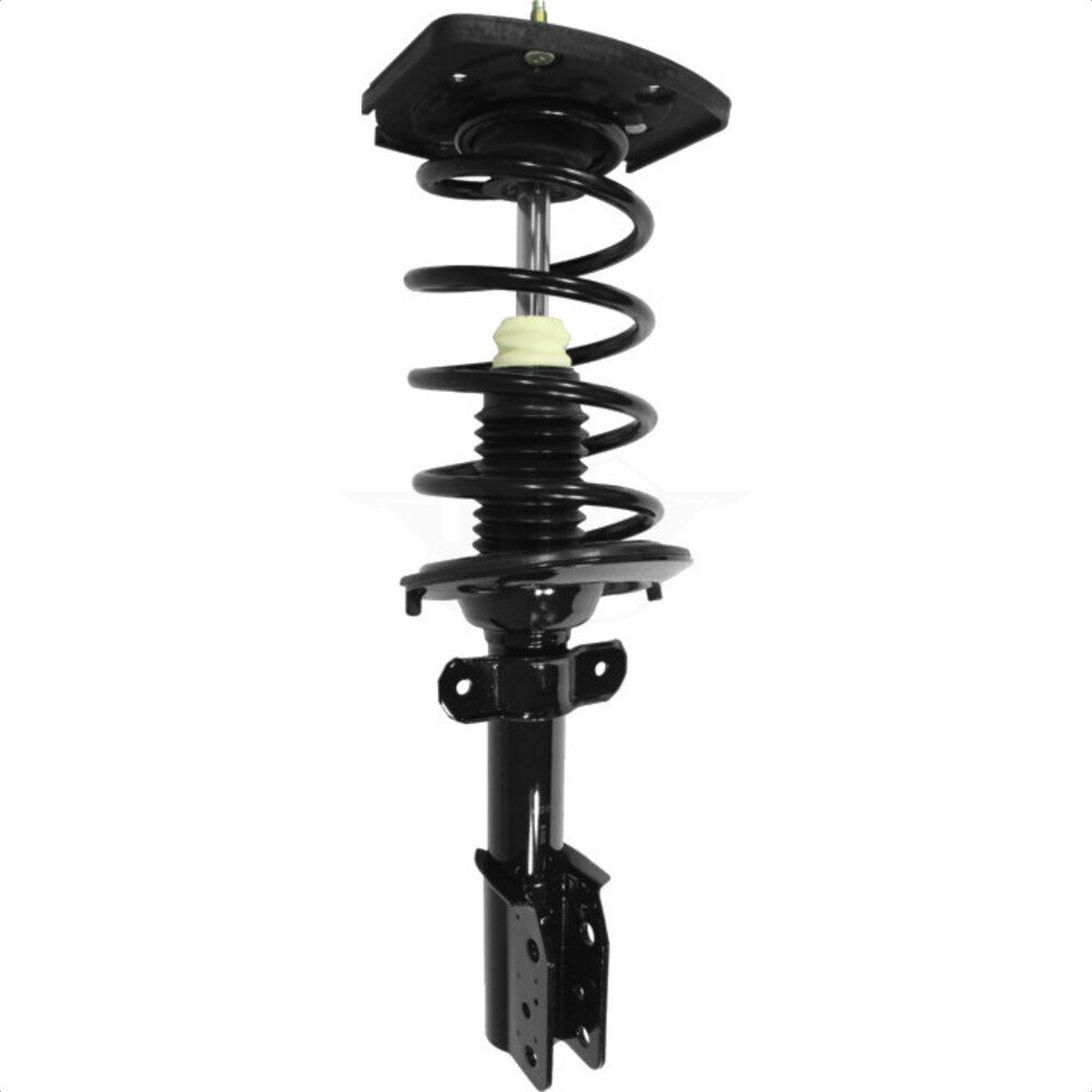 Suspension Strut Coil Spring Assembly