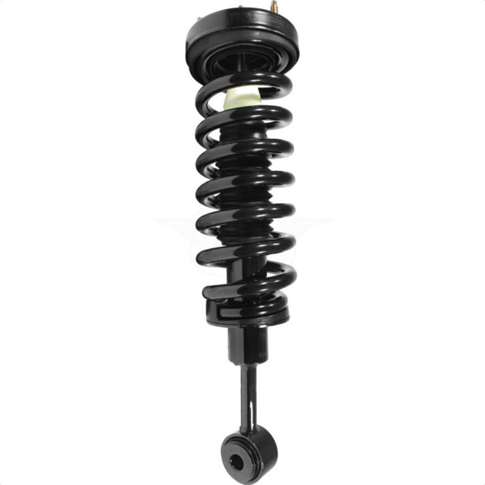 Suspension Strut Coil Spring Assembly