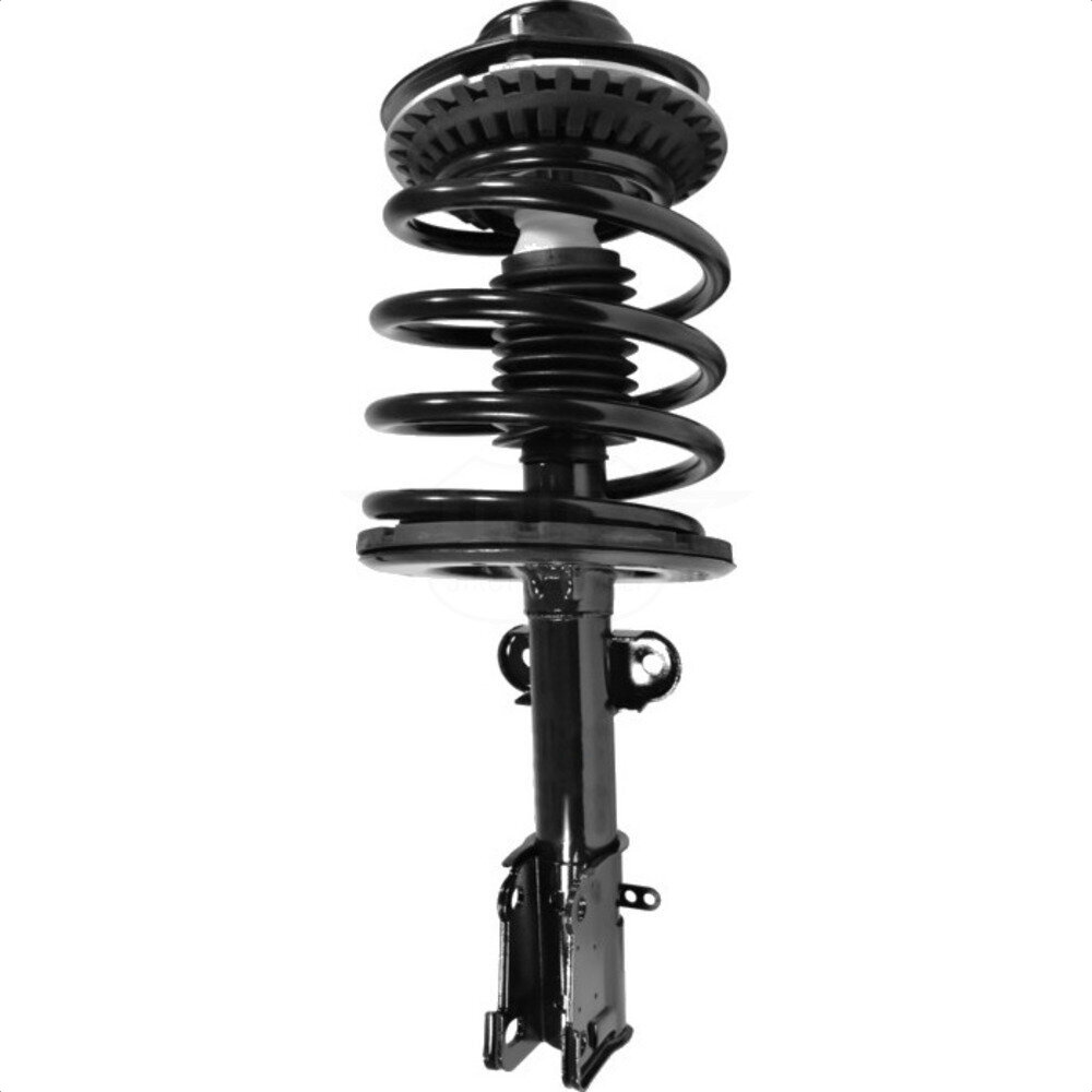Suspension Strut Coil Spring Assembly