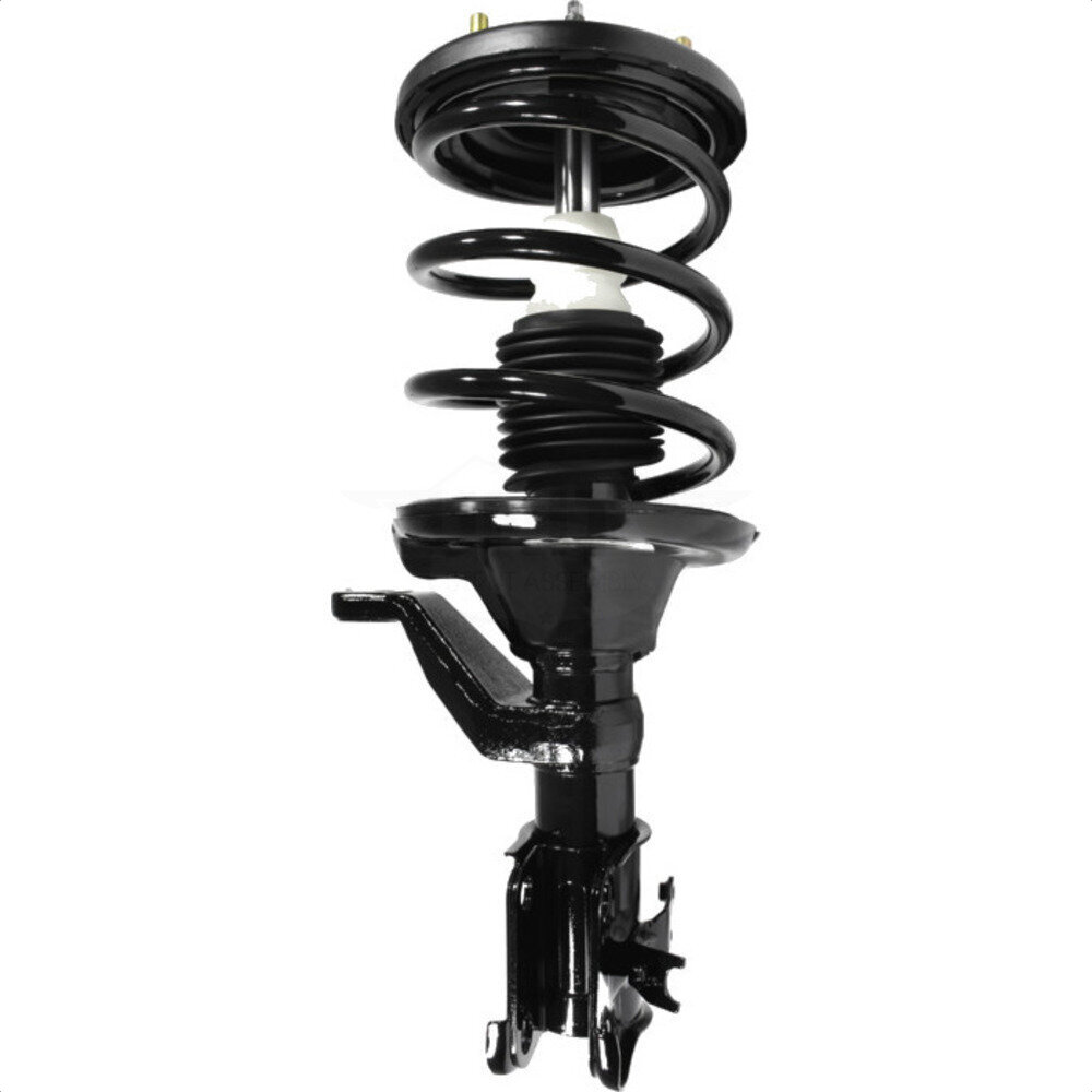 Suspension Strut Coil Spring Assembly