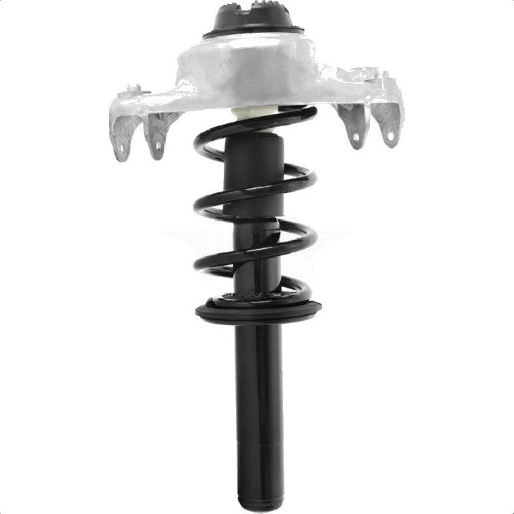 Suspension Strut Coil Spring Assembly