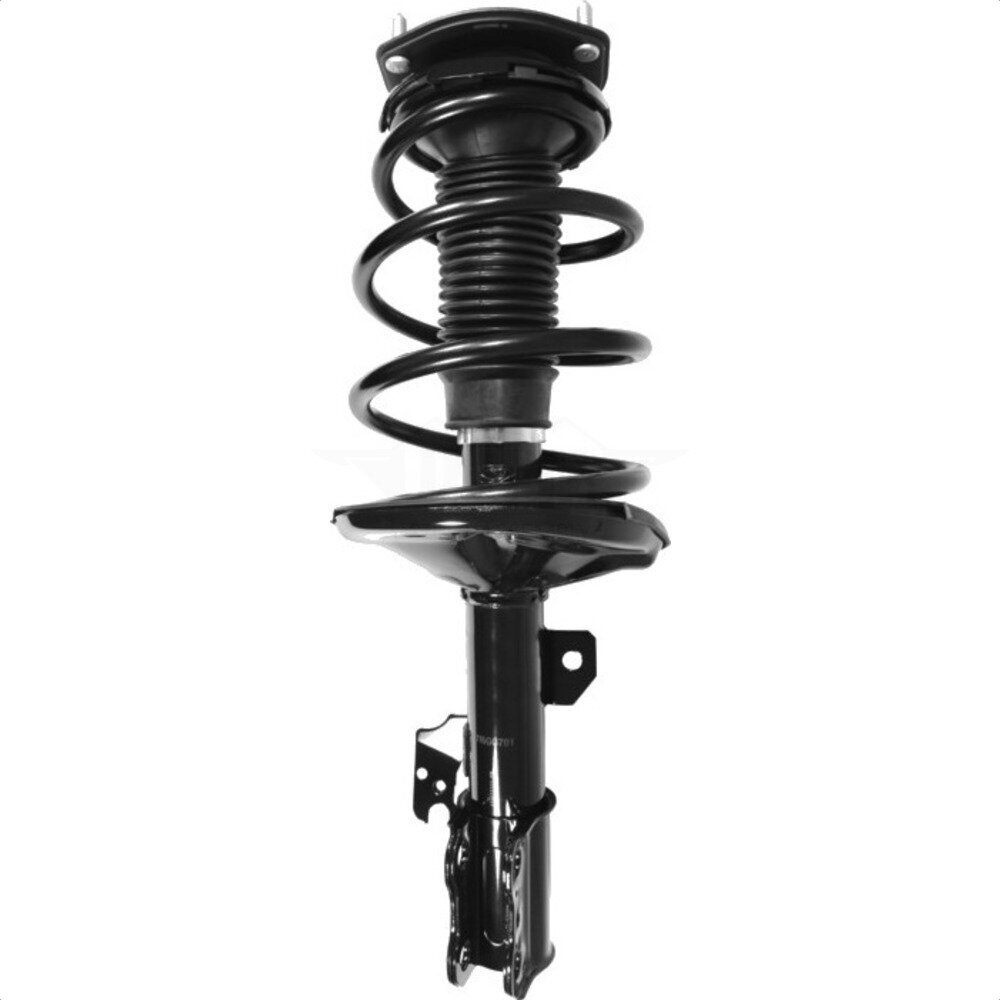 Suspension Strut Coil Spring Assembly