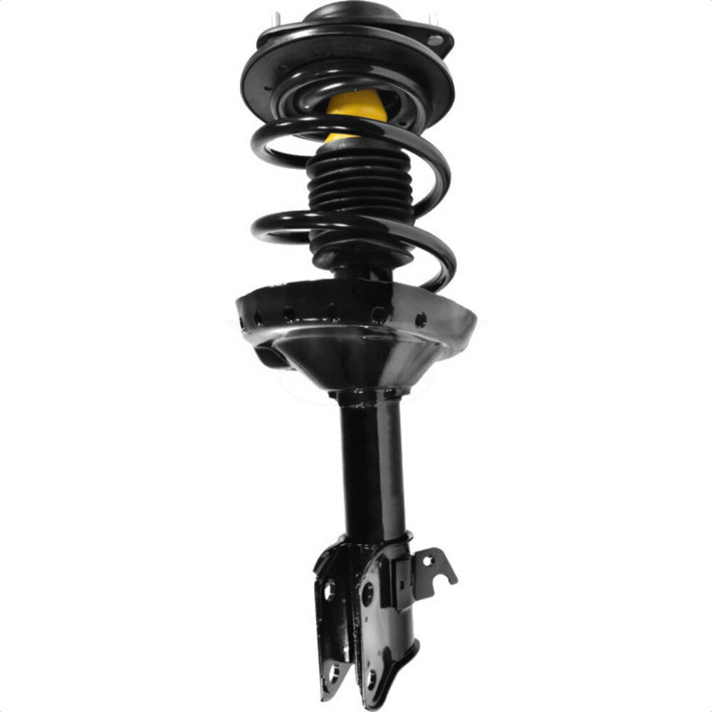Suspension Strut Coil Spring Assembly