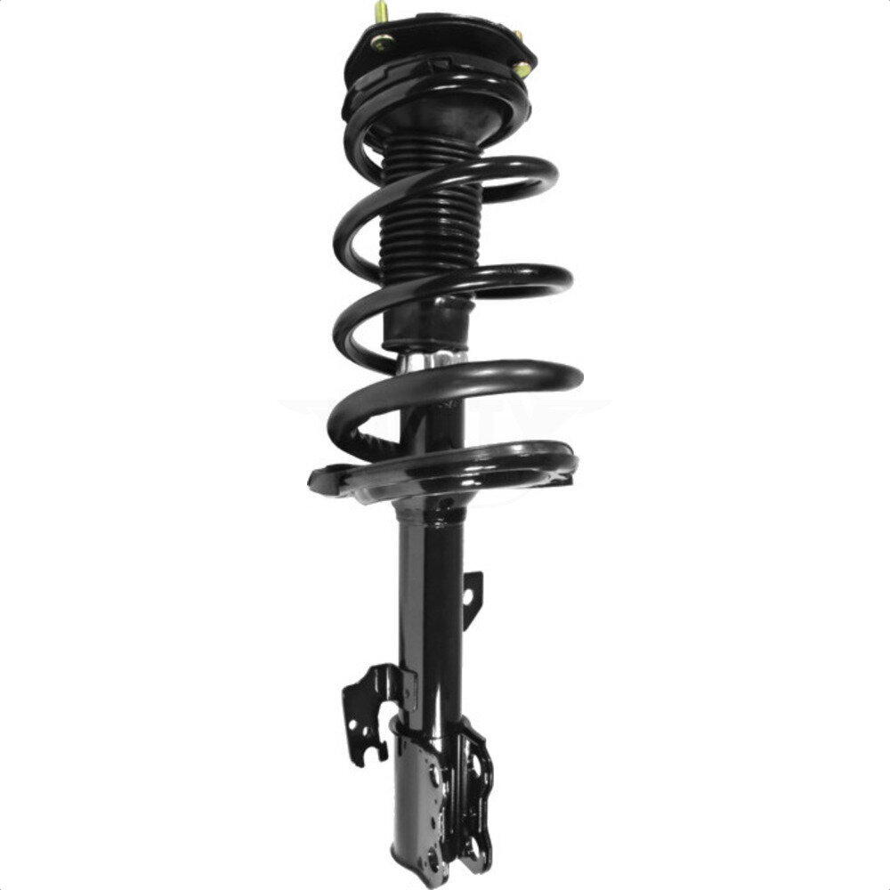 Suspension Strut Coil Spring Assembly