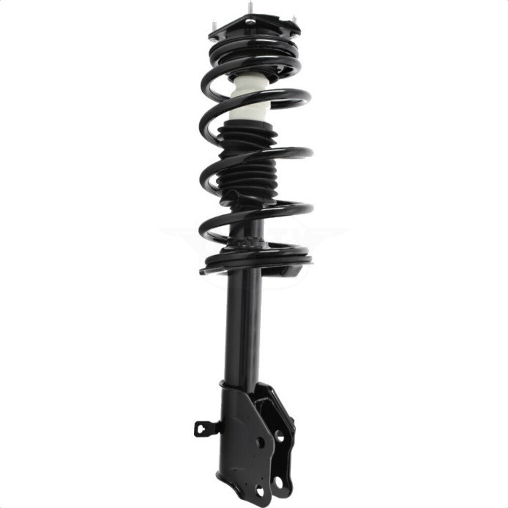 Suspension Strut Coil Spring Assembly