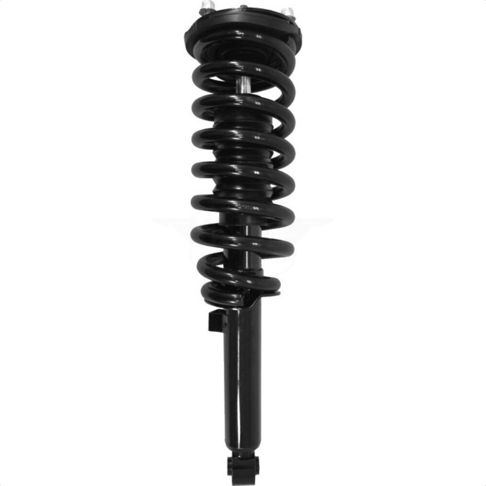 Suspension Strut Coil Spring Assembly