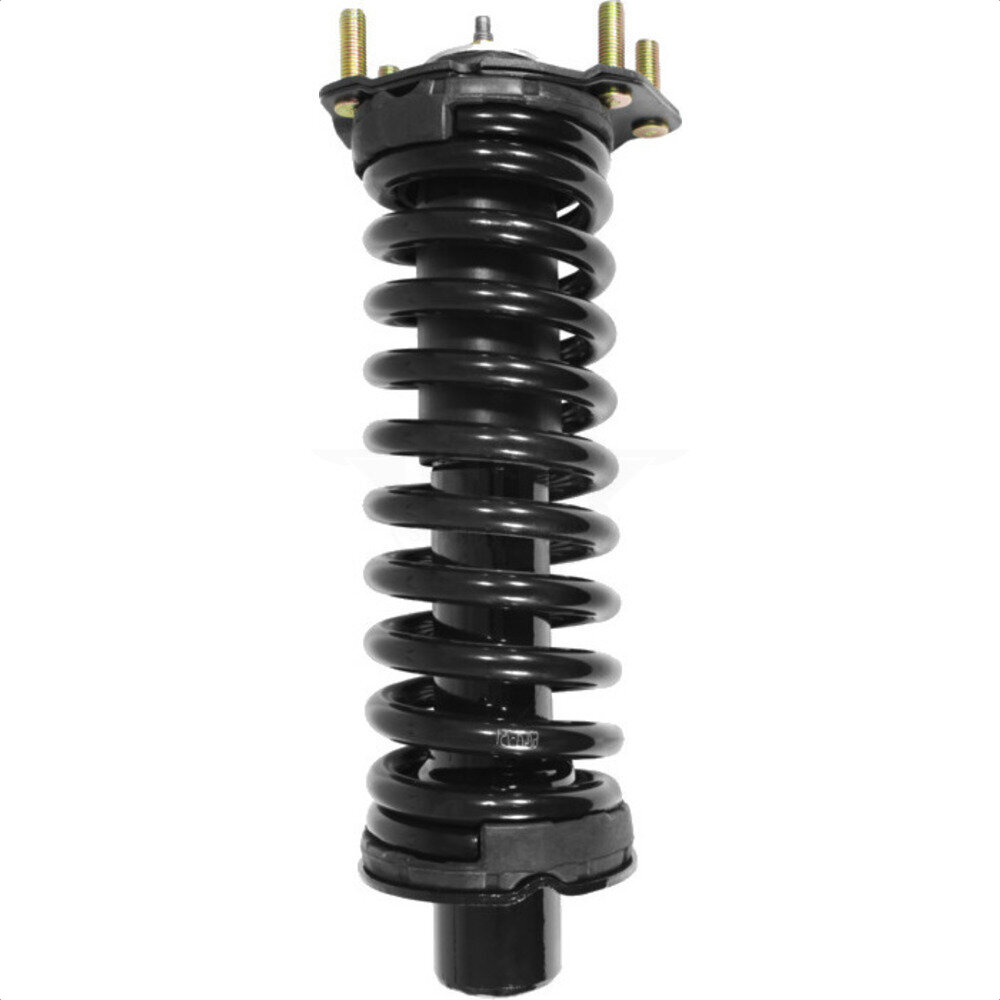 Suspension Strut Coil Spring Assembly