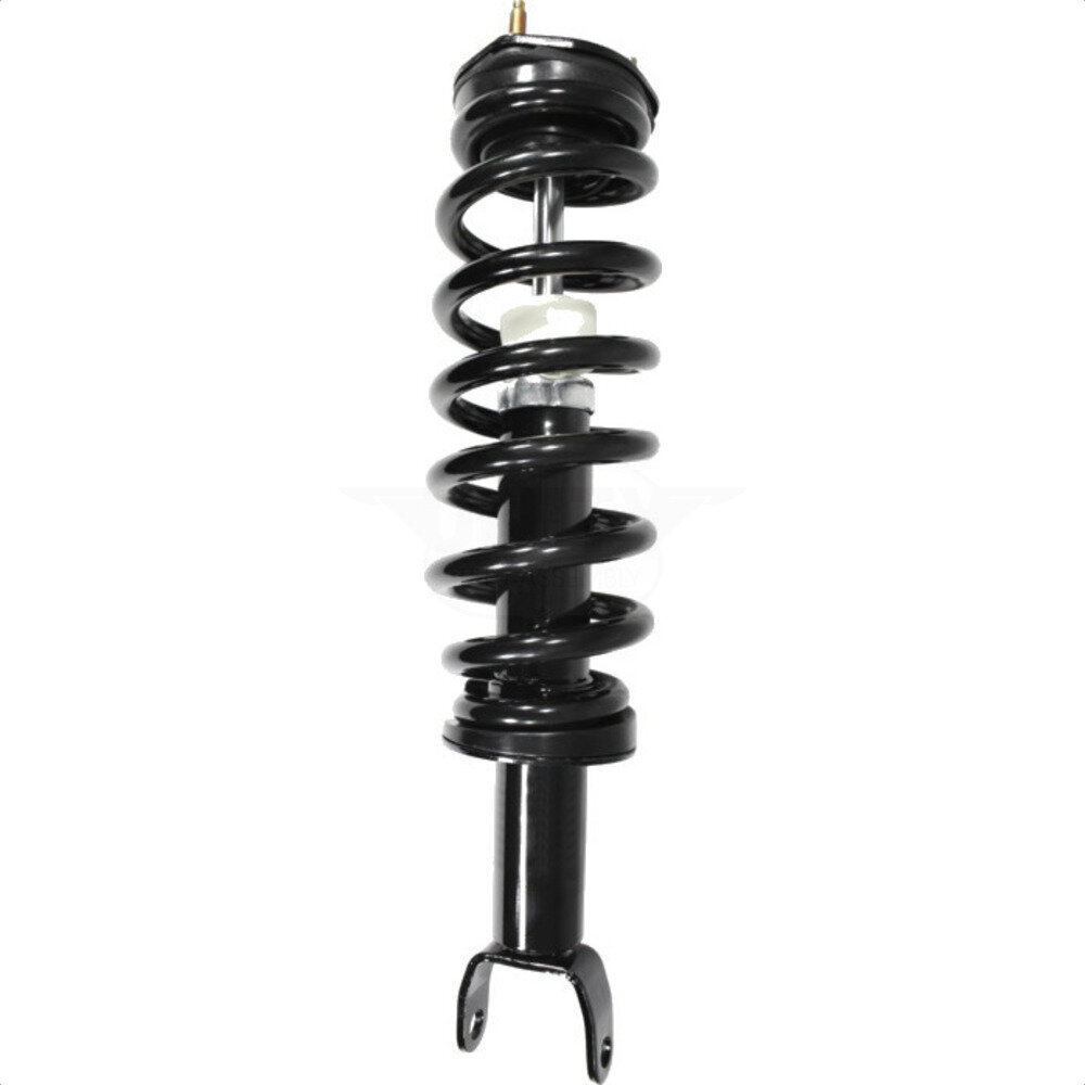 Suspension Strut Coil Spring Assembly