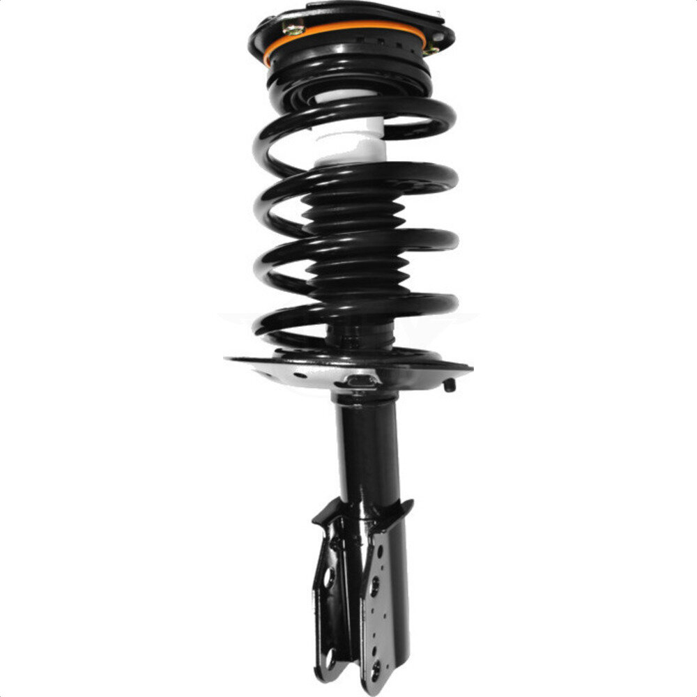 Suspension Strut Coil Spring Assembly