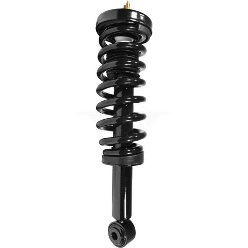 Suspension Strut Coil Spring Assembly
