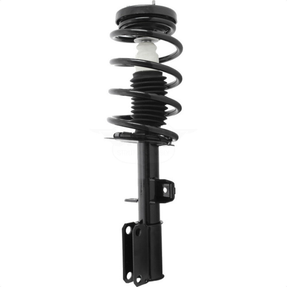 Suspension Strut Coil Spring Assembly