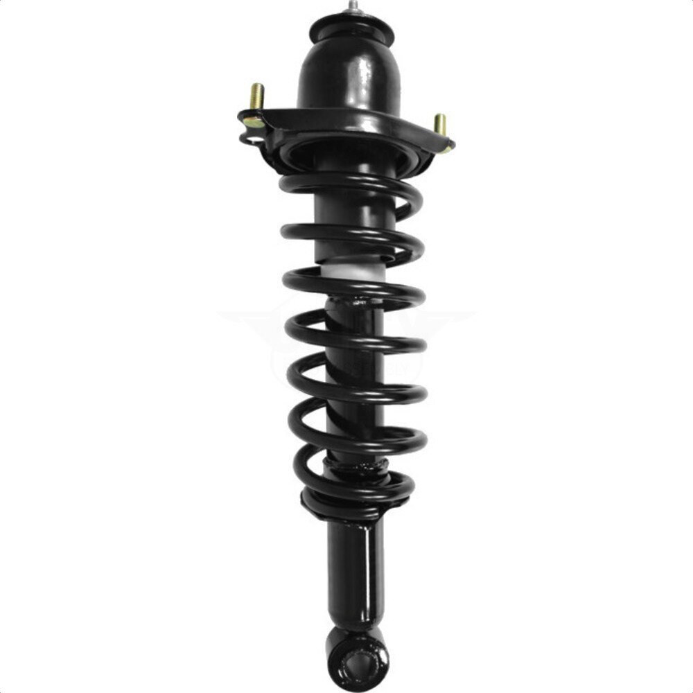Suspension Strut Coil Spring Assembly