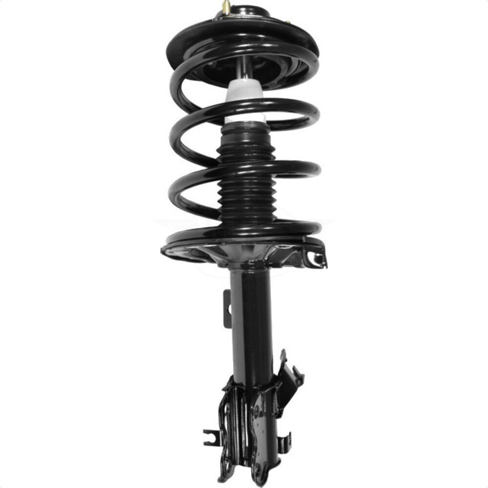 Suspension Strut Coil Spring Assembly