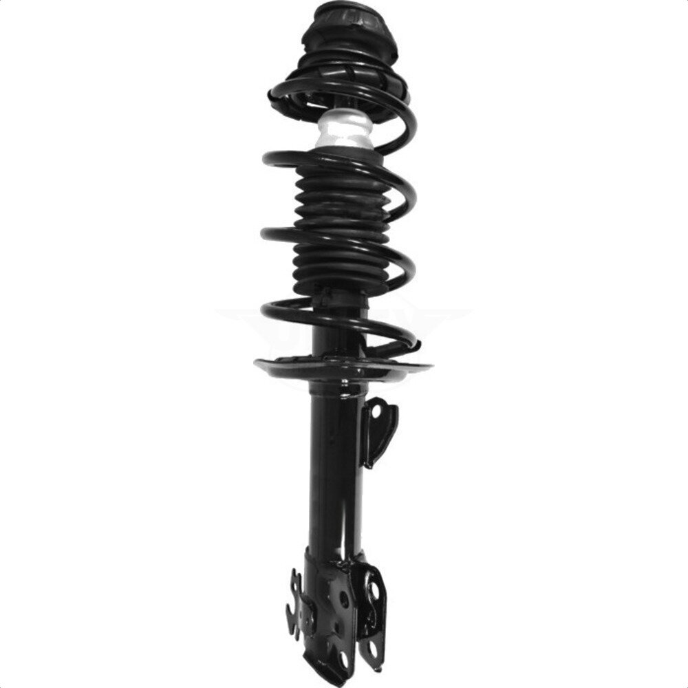 Suspension Strut Coil Spring Assembly