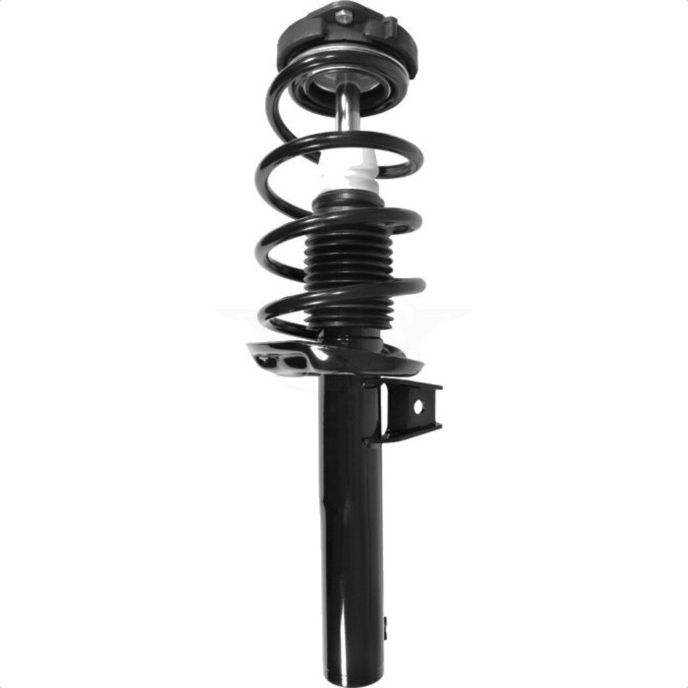 Suspension Strut Coil Spring Assembly
