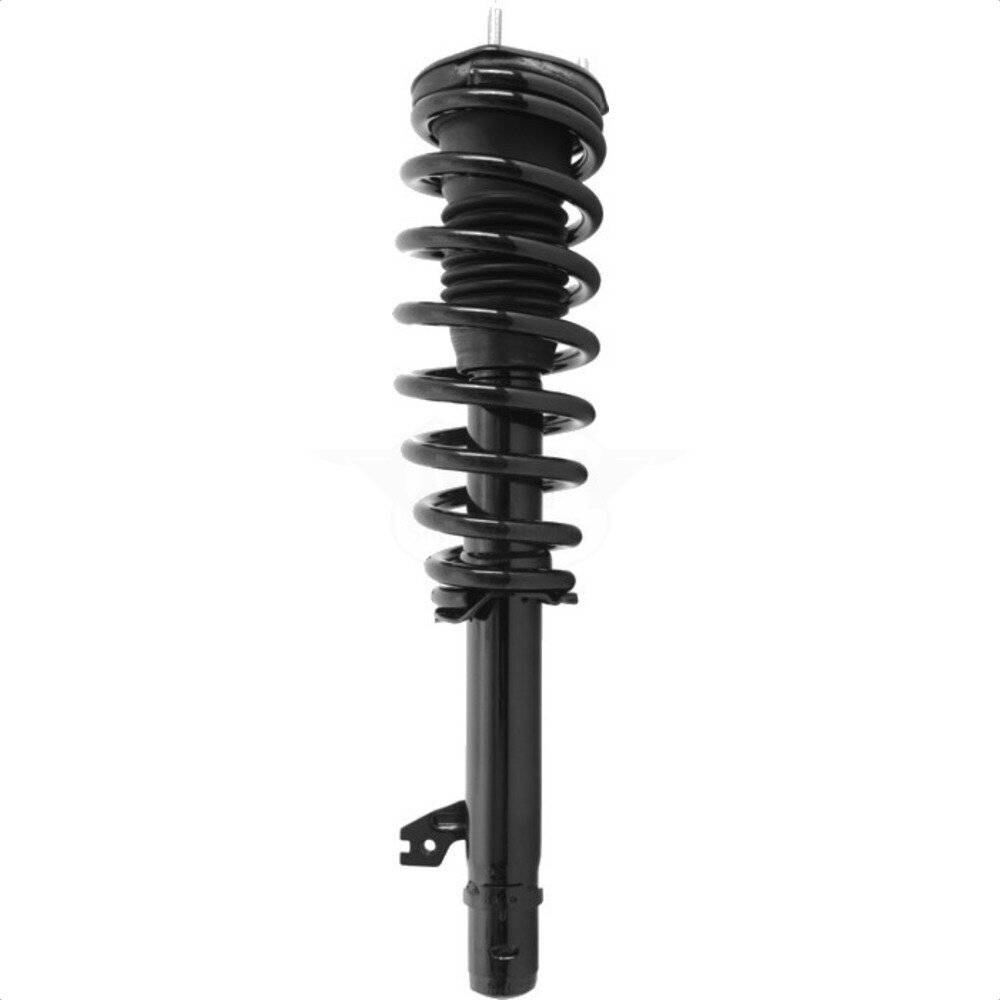 Suspension Strut Coil Spring Assembly