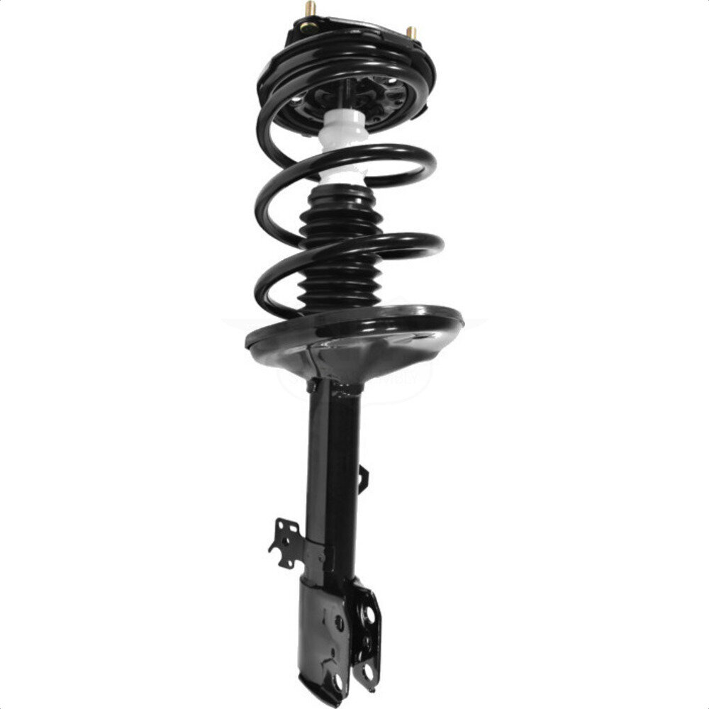 Suspension Strut Coil Spring Assembly
