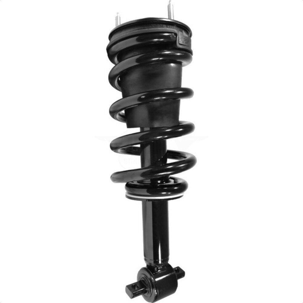 Suspension Strut Coil Spring Assembly