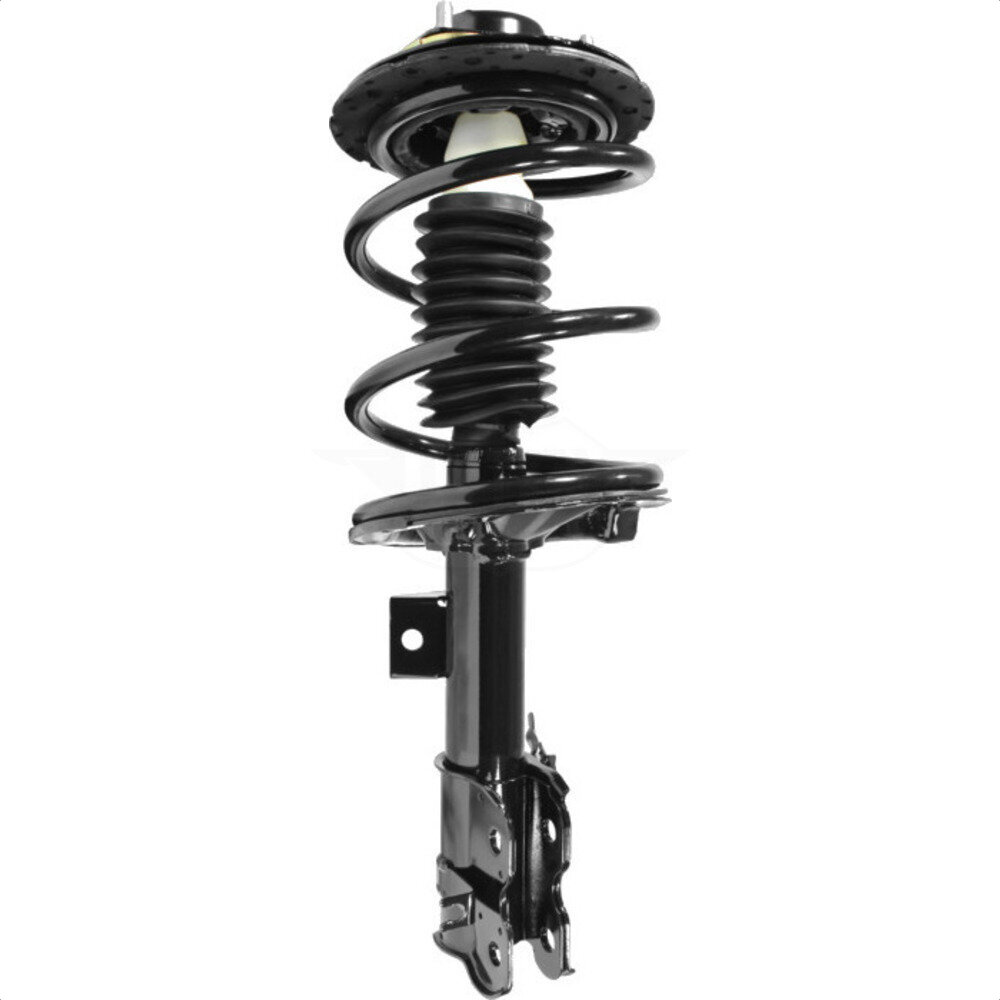 Suspension Strut Coil Spring Assembly