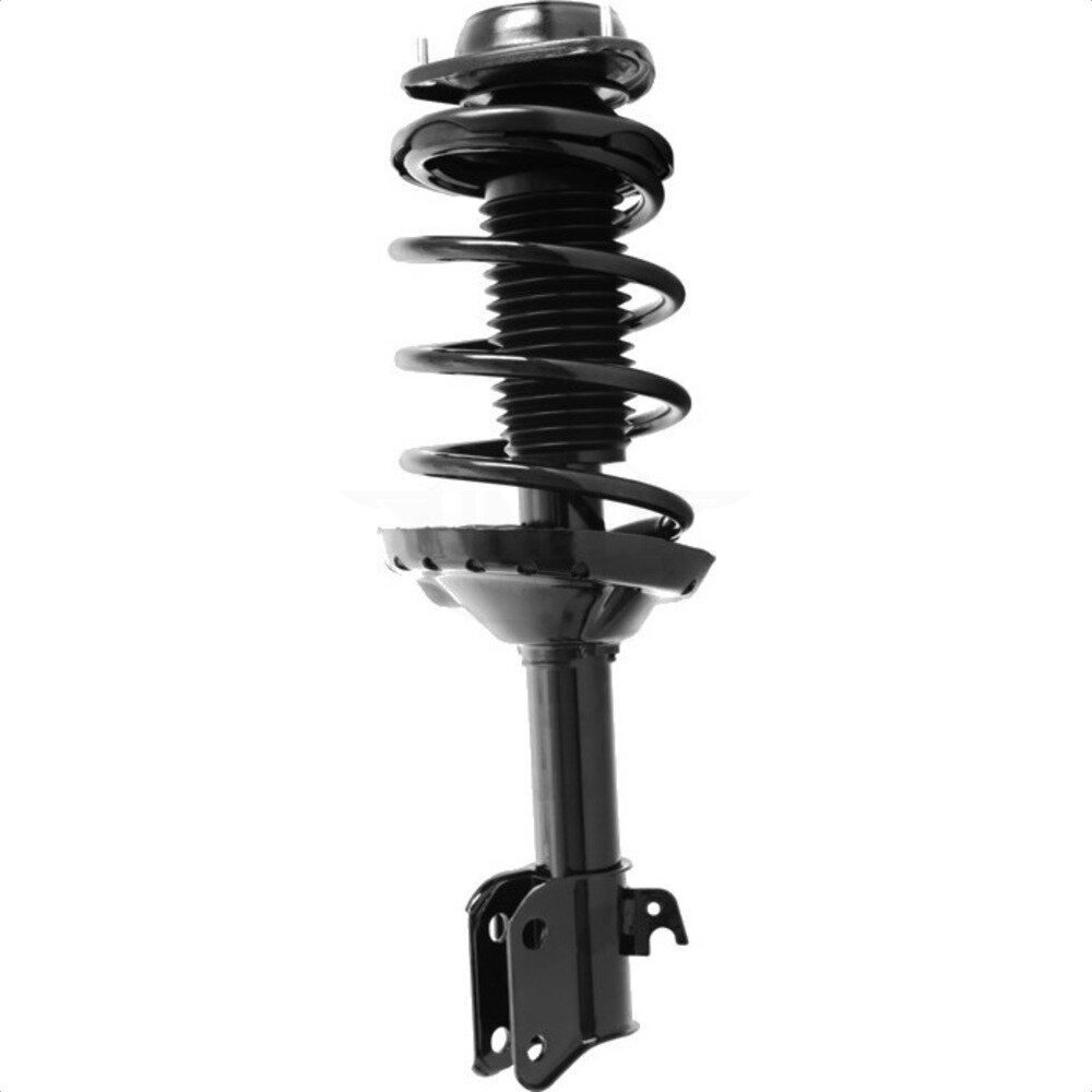 Suspension Strut Coil Spring Assembly