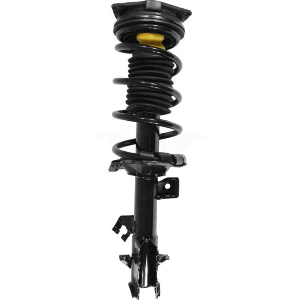 Suspension Strut Coil Spring Assembly