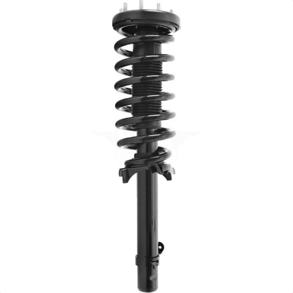 Suspension Strut Coil Spring Assembly