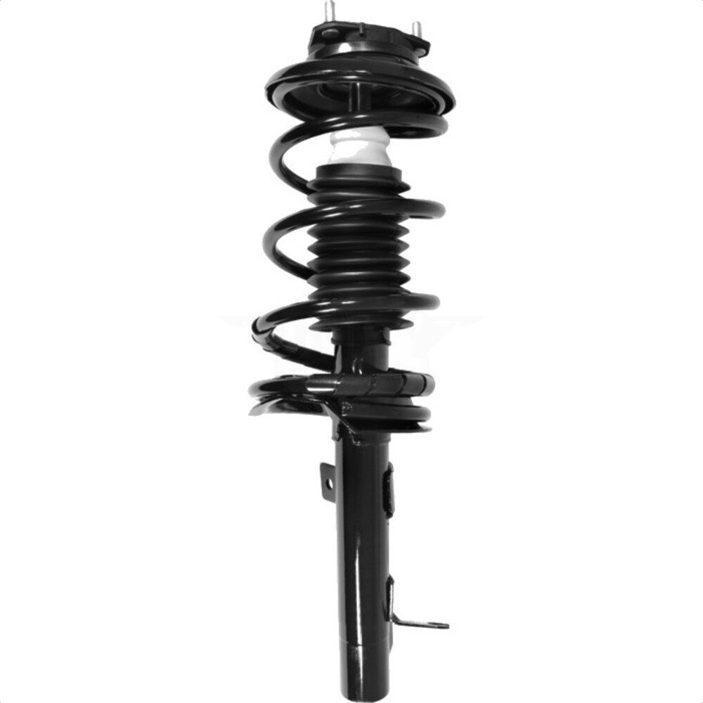 Suspension Strut Coil Spring Assembly