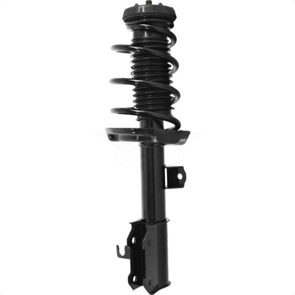 Suspension Strut Coil Spring Assembly