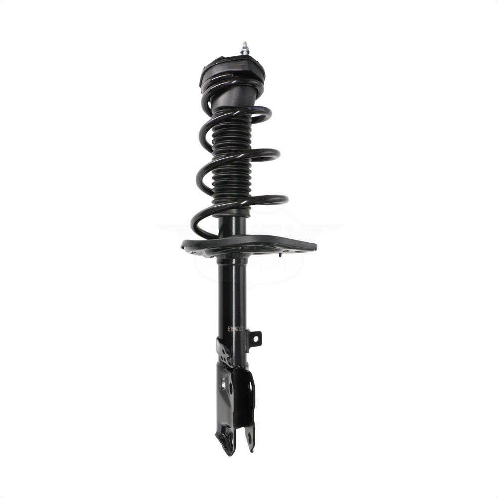 Suspension Strut Coil Spring Assembly