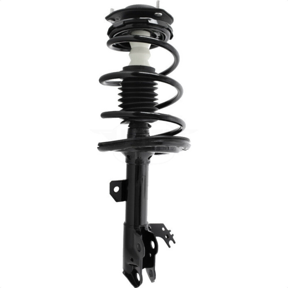 Suspension Strut Coil Spring Assembly