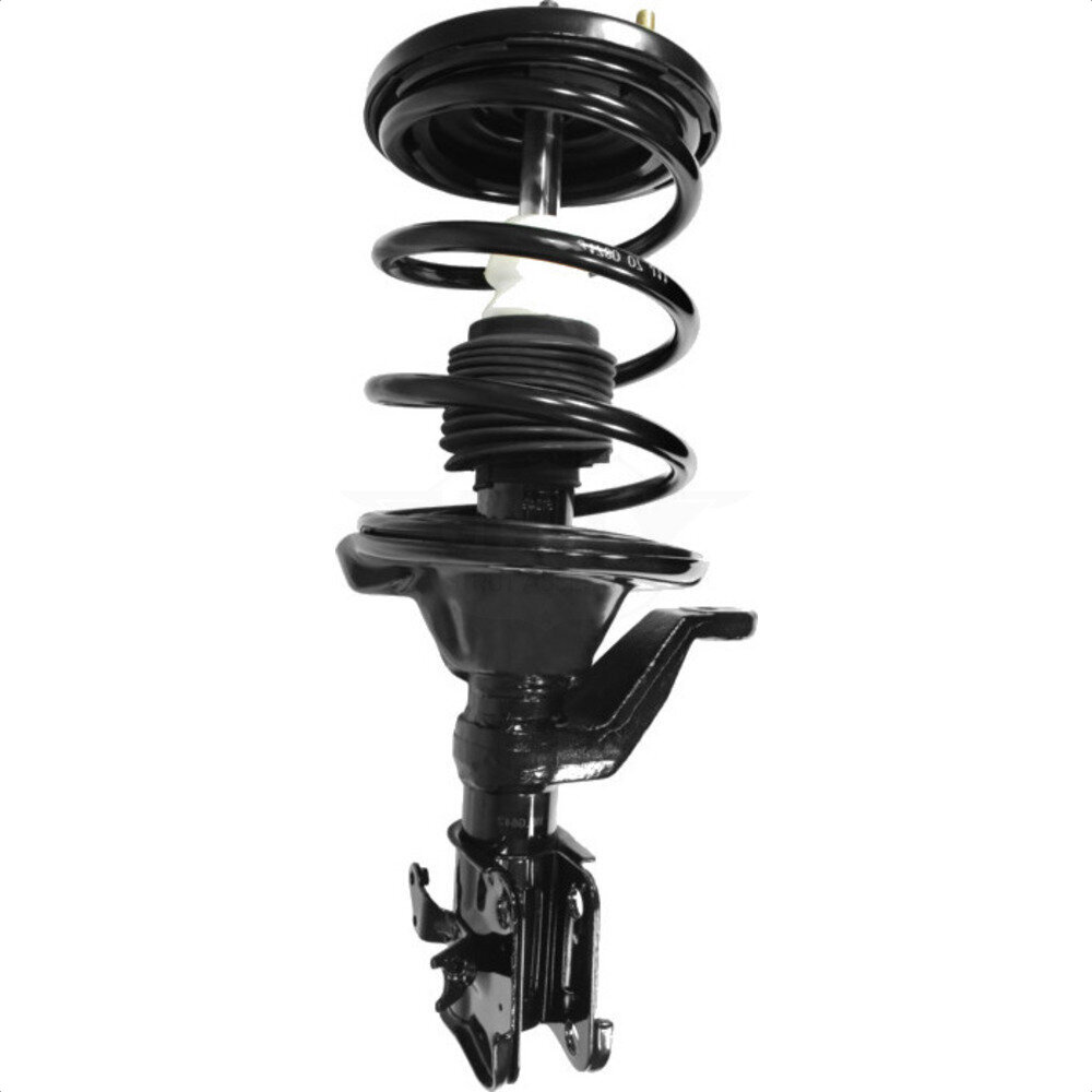 Suspension Strut Coil Spring Assembly