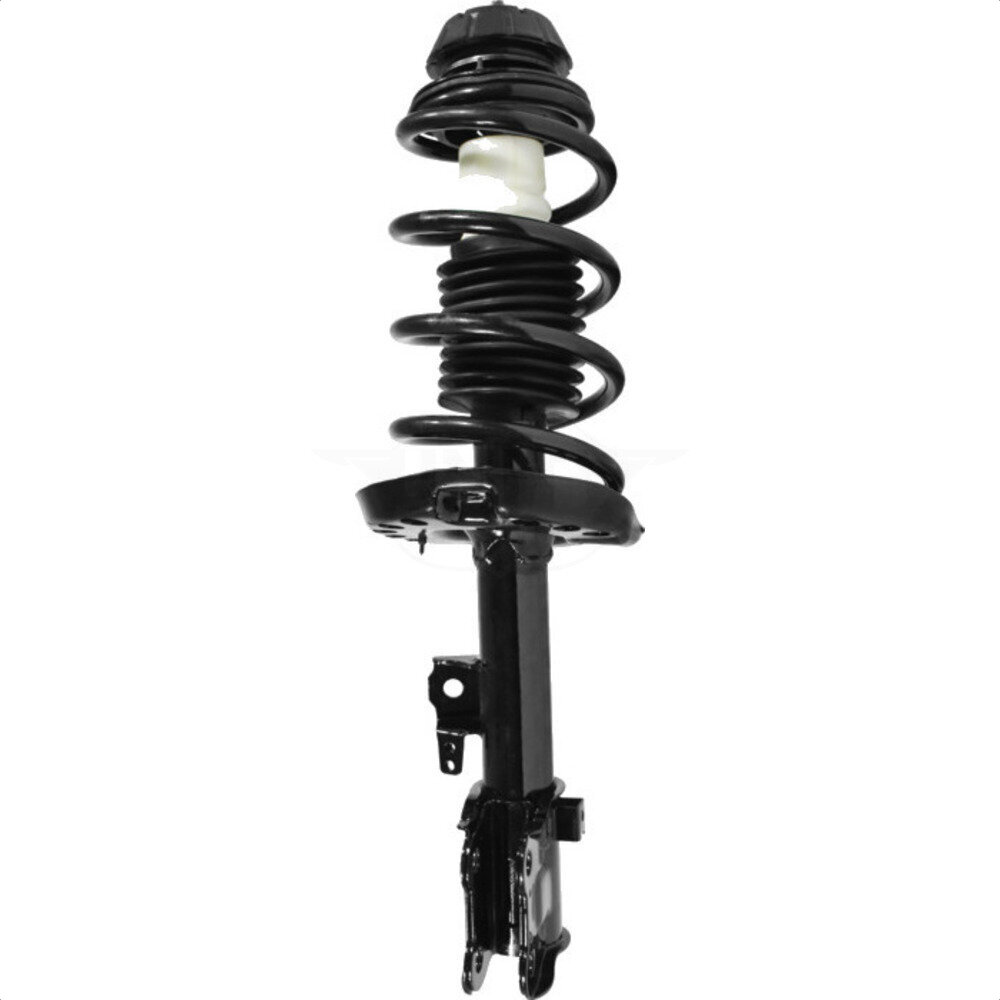 Suspension Strut Coil Spring Assembly