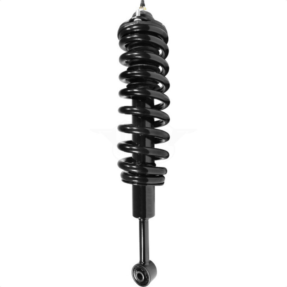 Suspension Strut Coil Spring Assembly