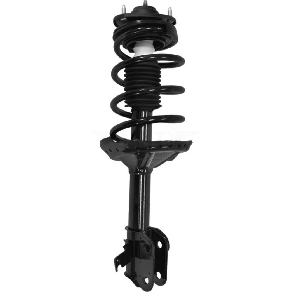 Suspension Strut Coil Spring Assembly