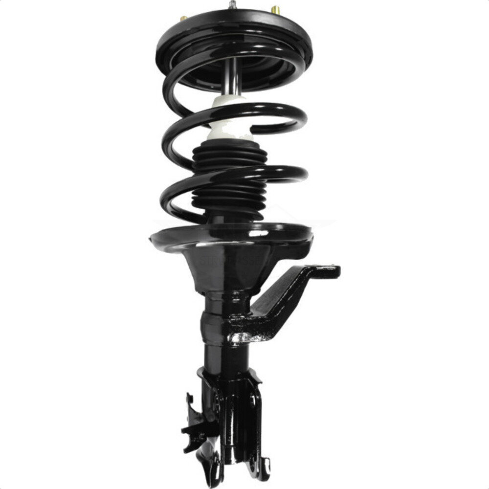 Suspension Strut Coil Spring Assembly