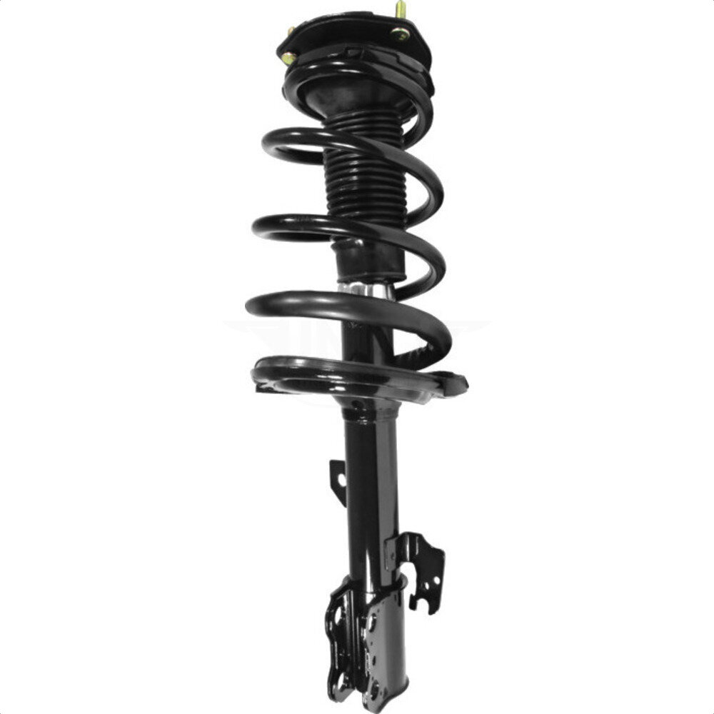 Suspension Strut Coil Spring Assembly