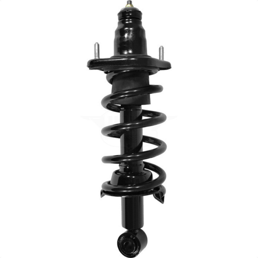 Suspension Strut Coil Spring Assembly