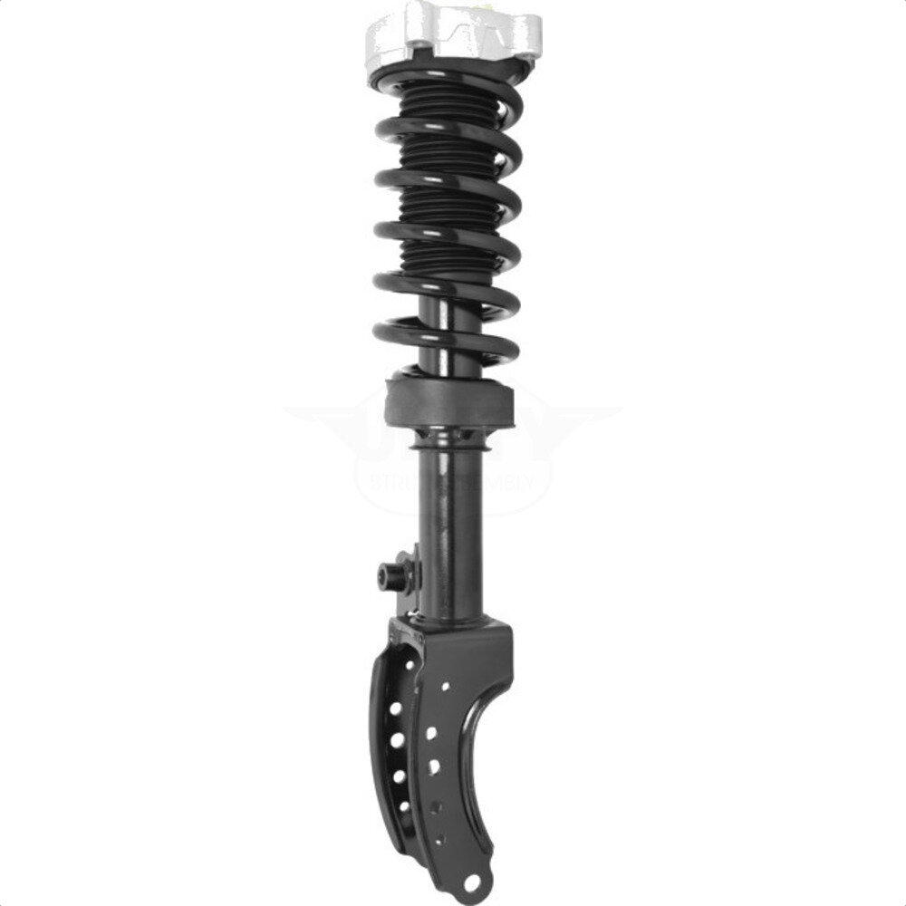 Suspension Strut Coil Spring Assembly